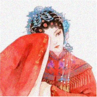 读者头像 许照野